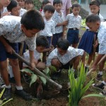Planting Trees on World Environment Day (ENP)