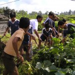 GCC staff and children clearing land for a new compost bamboo bin (ENP)